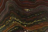 Polished Tiger Iron Stromatolite Slab - Billion Years #351909-1